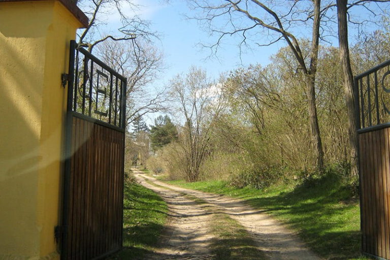 Yoga-Fasten-auf-dem-Eichhof-Weg-zum-Hof
