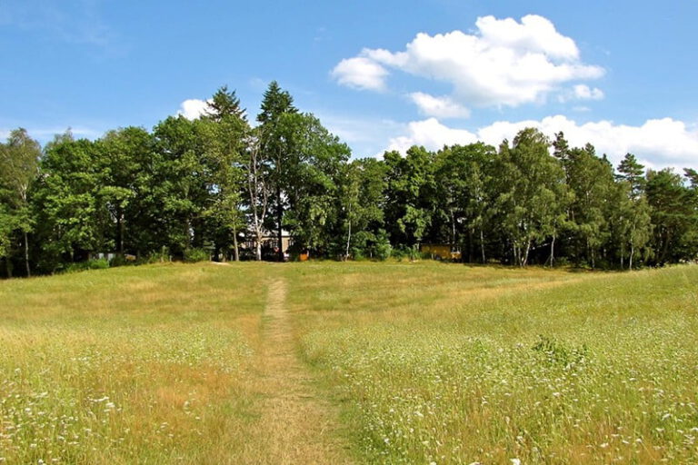 Yoga-Ferien-auf-dem-Eichhof-Weg-zum-See